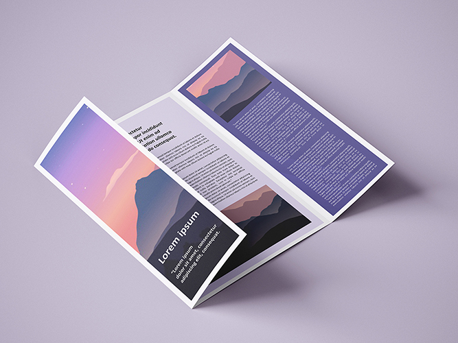 Gate Fold Brochure