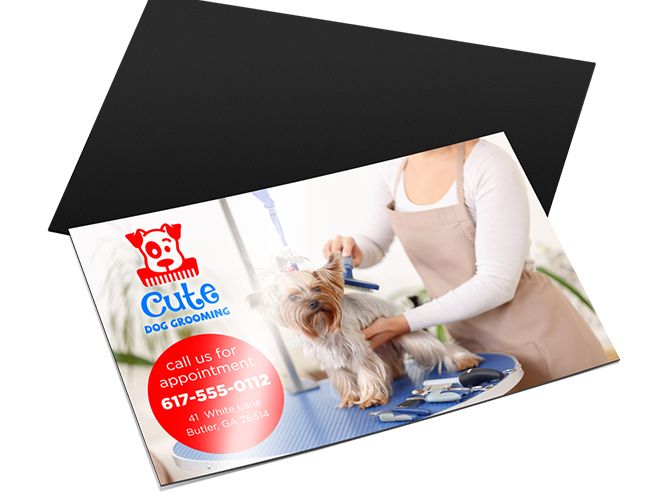 Magnet Announcement Cards