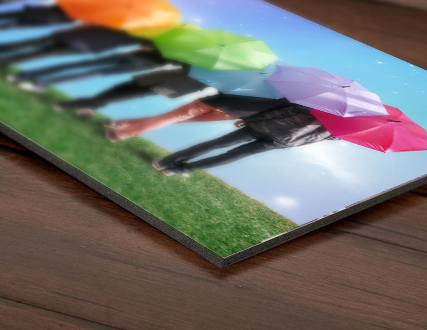 gator board rigid sign