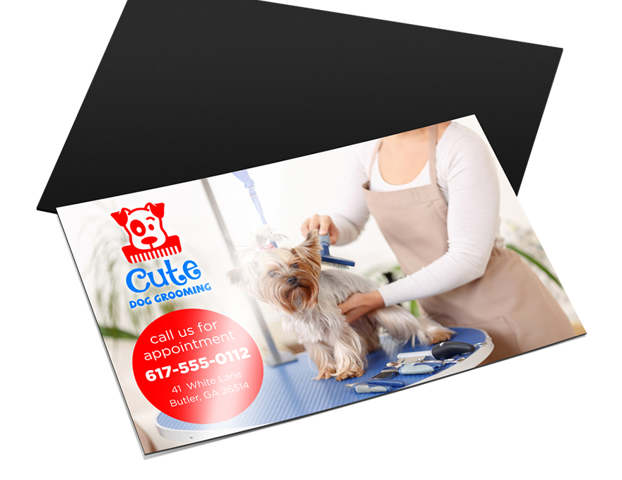 magnet announcement cards