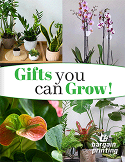 Calendars & Planners