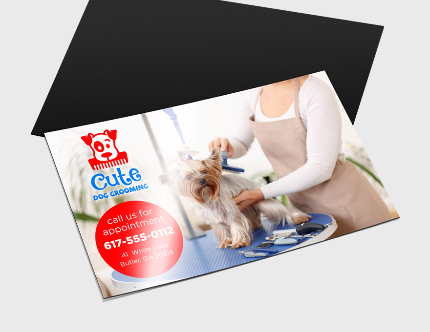 standard magnets with UV coating